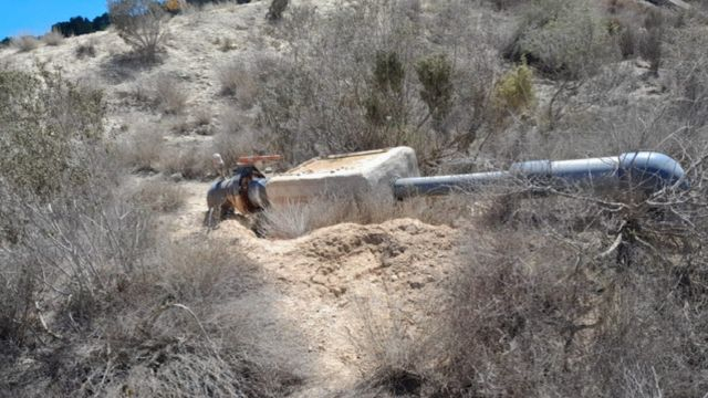 Pasa el agua por tú tierra y los árboles se secan,España