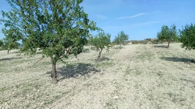 Conservar y entender nuestra tierra