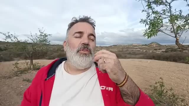 La verdadera peste es el PSOE