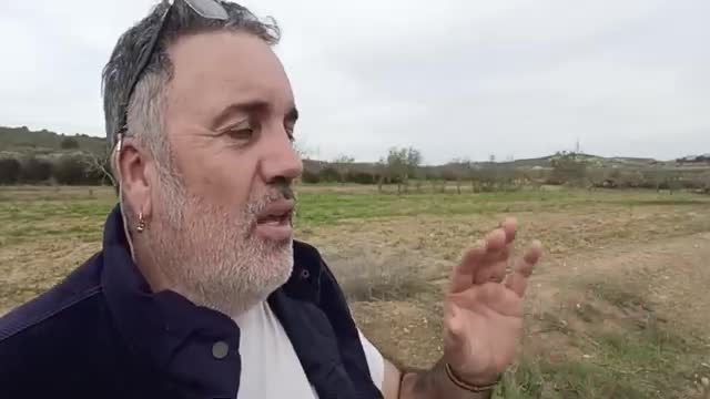 Ni insectos, ni electrificación, ni digitalizar, ni travestidos en Palestina